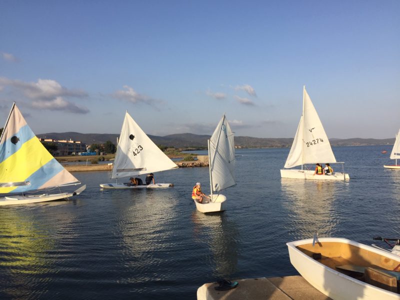 Optimist, Vaurien e Sunfish